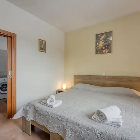 Vila Sofia With Private Pool Pazin